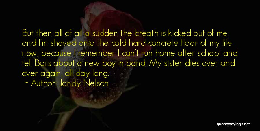 Jandy Nelson Quotes: But Then All Of All A Sudden The Breath Is Kicked Out Of Me And I'm Shoved Onto The Cold