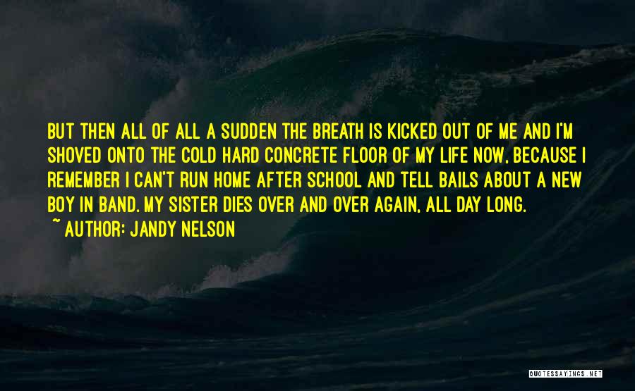 Jandy Nelson Quotes: But Then All Of All A Sudden The Breath Is Kicked Out Of Me And I'm Shoved Onto The Cold