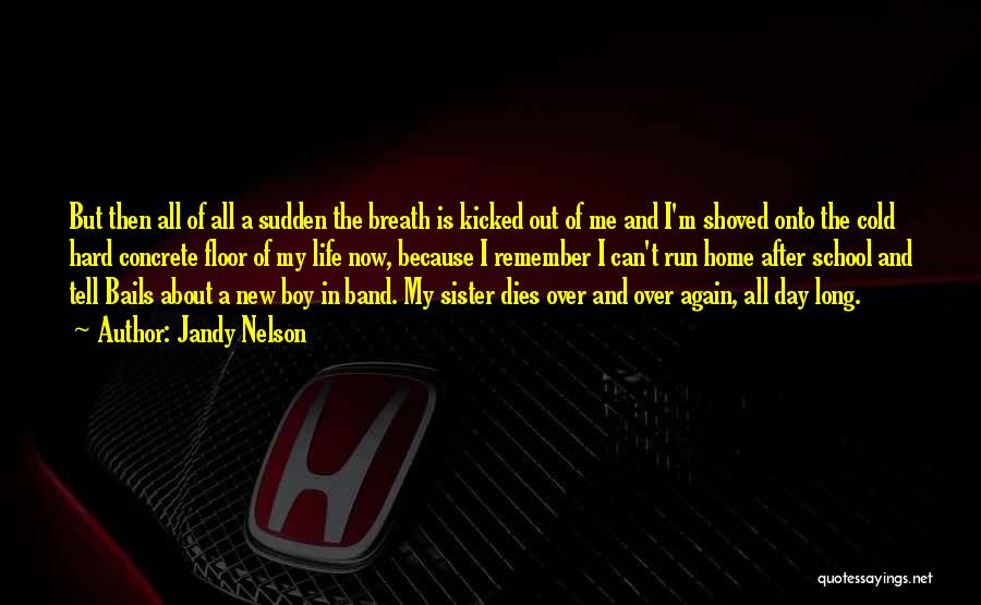 Jandy Nelson Quotes: But Then All Of All A Sudden The Breath Is Kicked Out Of Me And I'm Shoved Onto The Cold