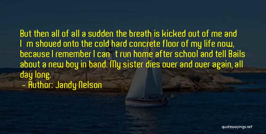 Jandy Nelson Quotes: But Then All Of All A Sudden The Breath Is Kicked Out Of Me And I'm Shoved Onto The Cold