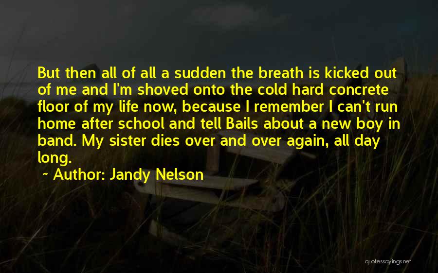 Jandy Nelson Quotes: But Then All Of All A Sudden The Breath Is Kicked Out Of Me And I'm Shoved Onto The Cold