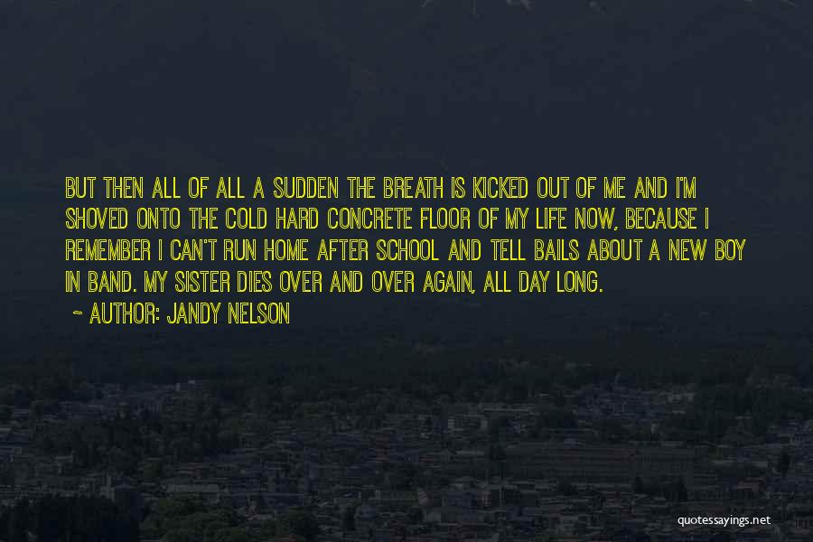 Jandy Nelson Quotes: But Then All Of All A Sudden The Breath Is Kicked Out Of Me And I'm Shoved Onto The Cold