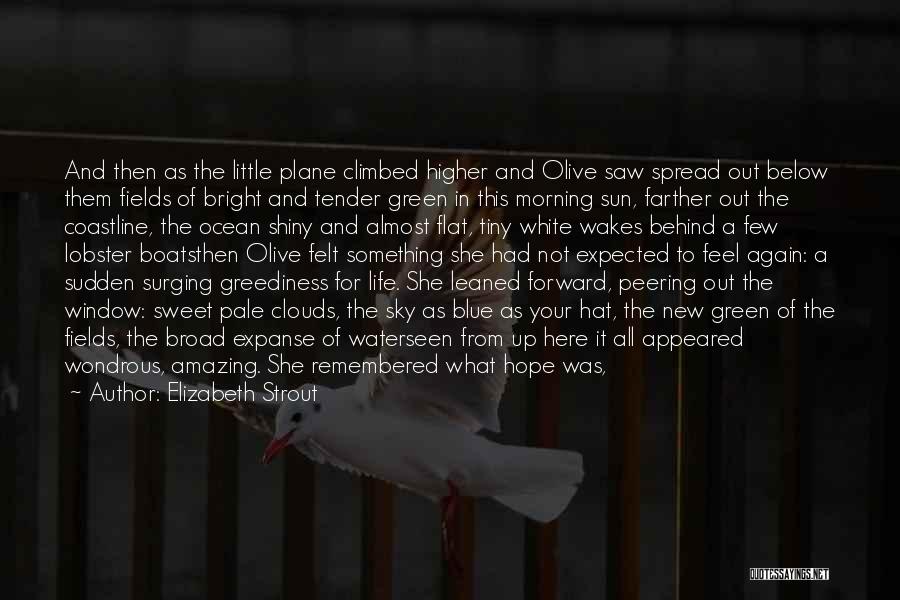 Elizabeth Strout Quotes: And Then As The Little Plane Climbed Higher And Olive Saw Spread Out Below Them Fields Of Bright And Tender