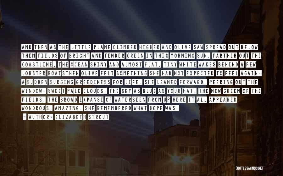 Elizabeth Strout Quotes: And Then As The Little Plane Climbed Higher And Olive Saw Spread Out Below Them Fields Of Bright And Tender