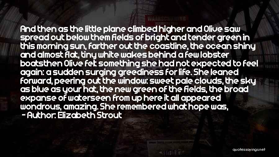 Elizabeth Strout Quotes: And Then As The Little Plane Climbed Higher And Olive Saw Spread Out Below Them Fields Of Bright And Tender