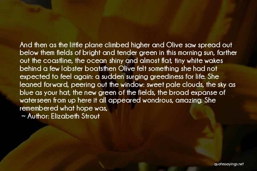 Elizabeth Strout Quotes: And Then As The Little Plane Climbed Higher And Olive Saw Spread Out Below Them Fields Of Bright And Tender