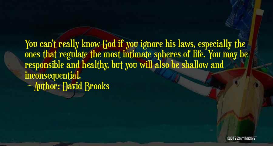 David Brooks Quotes: You Can't Really Know God If You Ignore His Laws, Especially The Ones That Regulate The Most Intimate Spheres Of