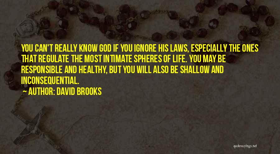 David Brooks Quotes: You Can't Really Know God If You Ignore His Laws, Especially The Ones That Regulate The Most Intimate Spheres Of