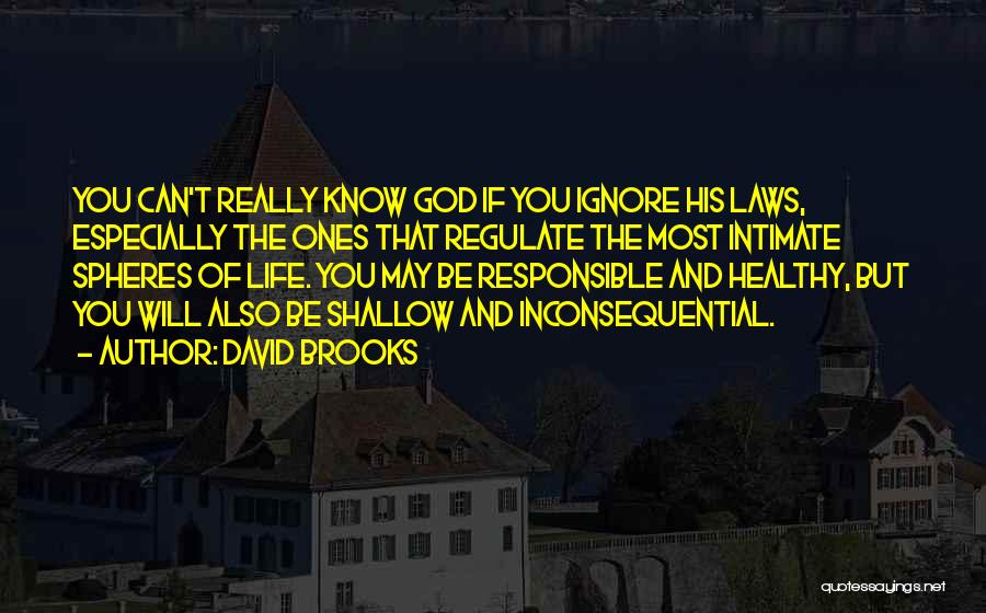 David Brooks Quotes: You Can't Really Know God If You Ignore His Laws, Especially The Ones That Regulate The Most Intimate Spheres Of