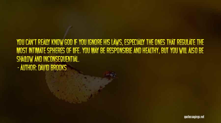 David Brooks Quotes: You Can't Really Know God If You Ignore His Laws, Especially The Ones That Regulate The Most Intimate Spheres Of