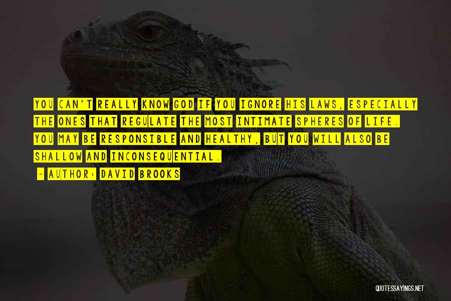 David Brooks Quotes: You Can't Really Know God If You Ignore His Laws, Especially The Ones That Regulate The Most Intimate Spheres Of