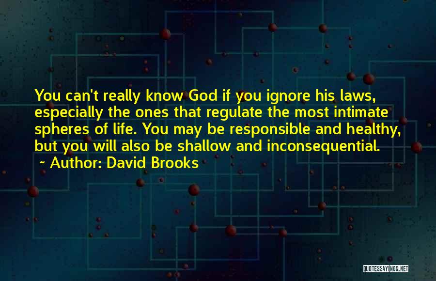 David Brooks Quotes: You Can't Really Know God If You Ignore His Laws, Especially The Ones That Regulate The Most Intimate Spheres Of