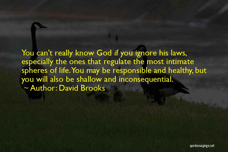 David Brooks Quotes: You Can't Really Know God If You Ignore His Laws, Especially The Ones That Regulate The Most Intimate Spheres Of