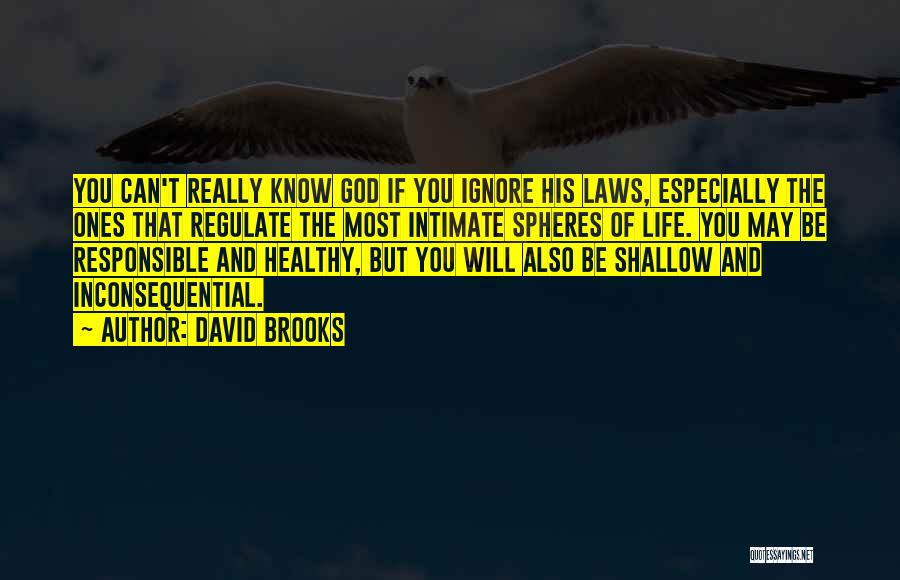 David Brooks Quotes: You Can't Really Know God If You Ignore His Laws, Especially The Ones That Regulate The Most Intimate Spheres Of