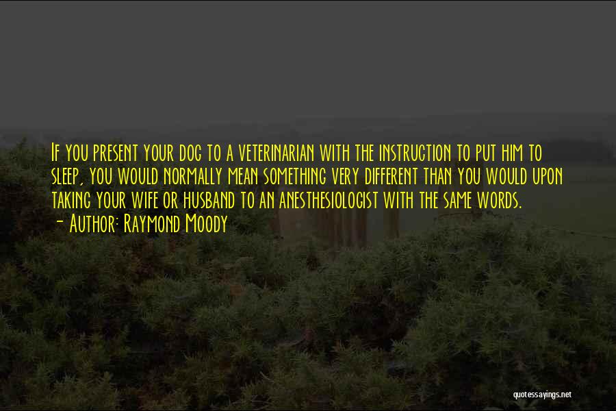 Raymond Moody Quotes: If You Present Your Dog To A Veterinarian With The Instruction To Put Him To Sleep, You Would Normally Mean