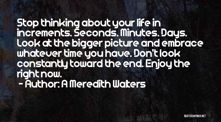 A Meredith Walters Quotes: Stop Thinking About Your Life In Increments. Seconds. Minutes. Days. Look At The Bigger Picture And Embrace Whatever Time You