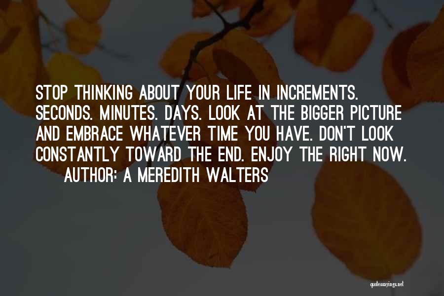 A Meredith Walters Quotes: Stop Thinking About Your Life In Increments. Seconds. Minutes. Days. Look At The Bigger Picture And Embrace Whatever Time You