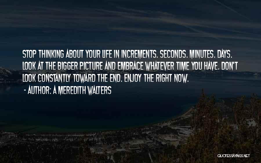 A Meredith Walters Quotes: Stop Thinking About Your Life In Increments. Seconds. Minutes. Days. Look At The Bigger Picture And Embrace Whatever Time You