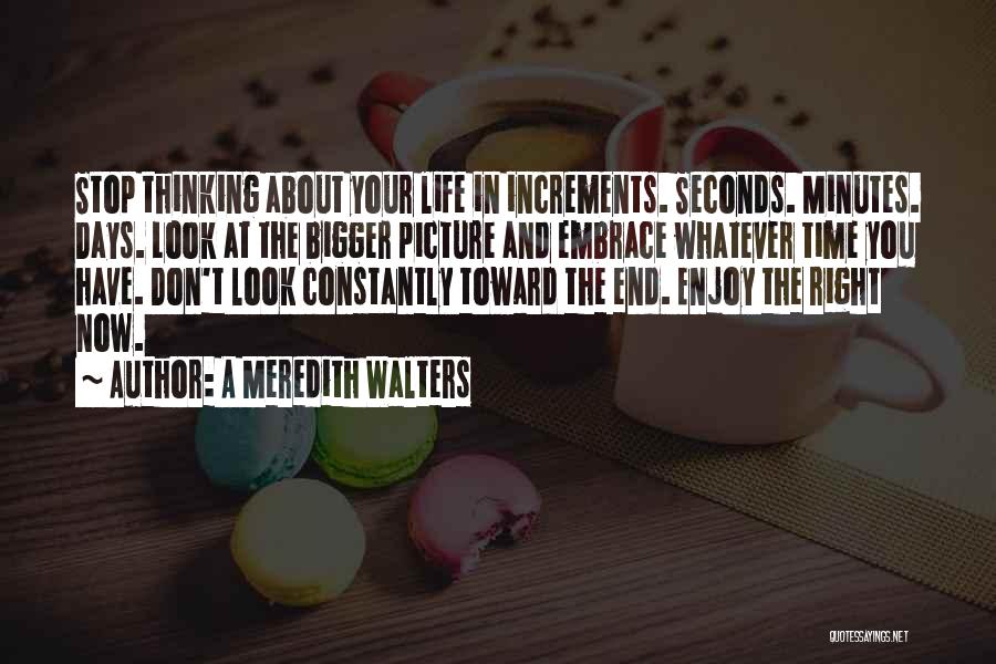 A Meredith Walters Quotes: Stop Thinking About Your Life In Increments. Seconds. Minutes. Days. Look At The Bigger Picture And Embrace Whatever Time You