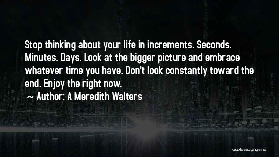 A Meredith Walters Quotes: Stop Thinking About Your Life In Increments. Seconds. Minutes. Days. Look At The Bigger Picture And Embrace Whatever Time You