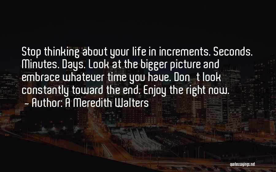 A Meredith Walters Quotes: Stop Thinking About Your Life In Increments. Seconds. Minutes. Days. Look At The Bigger Picture And Embrace Whatever Time You