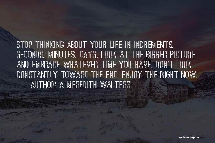 A Meredith Walters Quotes: Stop Thinking About Your Life In Increments. Seconds. Minutes. Days. Look At The Bigger Picture And Embrace Whatever Time You