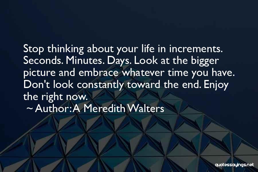 A Meredith Walters Quotes: Stop Thinking About Your Life In Increments. Seconds. Minutes. Days. Look At The Bigger Picture And Embrace Whatever Time You