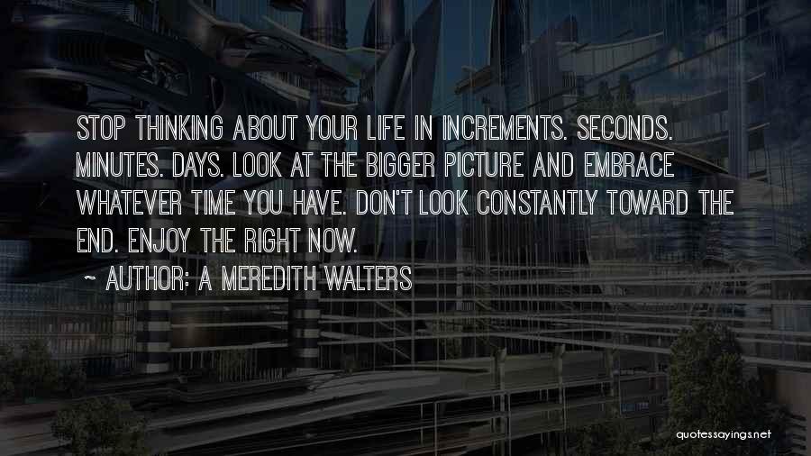 A Meredith Walters Quotes: Stop Thinking About Your Life In Increments. Seconds. Minutes. Days. Look At The Bigger Picture And Embrace Whatever Time You