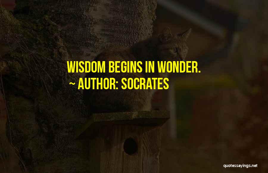 Socrates Quotes: Wisdom Begins In Wonder.