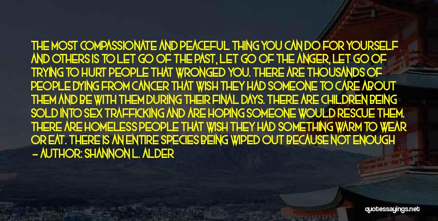 Shannon L. Alder Quotes: The Most Compassionate And Peaceful Thing You Can Do For Yourself And Others Is To Let Go Of The Past,