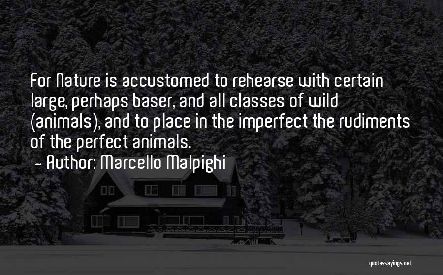 Marcello Malpighi Quotes: For Nature Is Accustomed To Rehearse With Certain Large, Perhaps Baser, And All Classes Of Wild (animals), And To Place