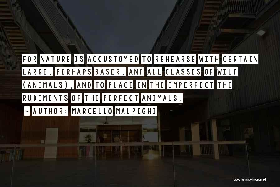 Marcello Malpighi Quotes: For Nature Is Accustomed To Rehearse With Certain Large, Perhaps Baser, And All Classes Of Wild (animals), And To Place