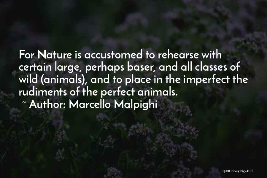 Marcello Malpighi Quotes: For Nature Is Accustomed To Rehearse With Certain Large, Perhaps Baser, And All Classes Of Wild (animals), And To Place