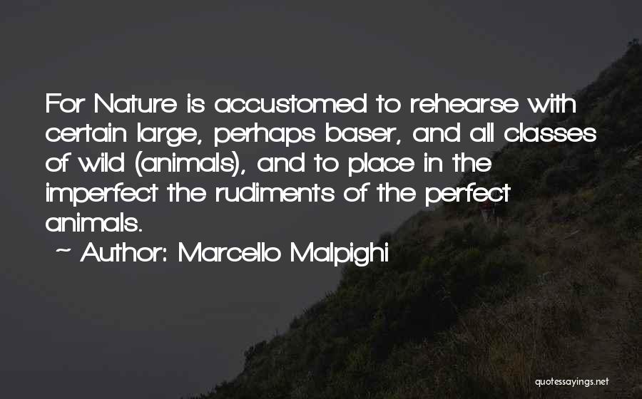 Marcello Malpighi Quotes: For Nature Is Accustomed To Rehearse With Certain Large, Perhaps Baser, And All Classes Of Wild (animals), And To Place