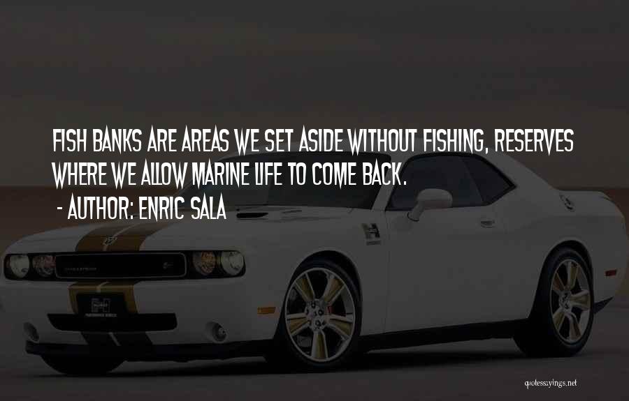 Enric Sala Quotes: Fish Banks Are Areas We Set Aside Without Fishing, Reserves Where We Allow Marine Life To Come Back.