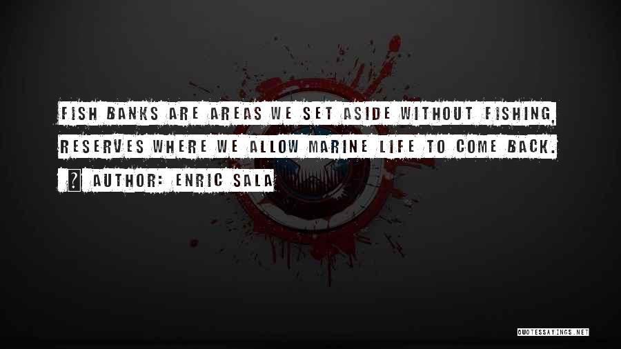 Enric Sala Quotes: Fish Banks Are Areas We Set Aside Without Fishing, Reserves Where We Allow Marine Life To Come Back.