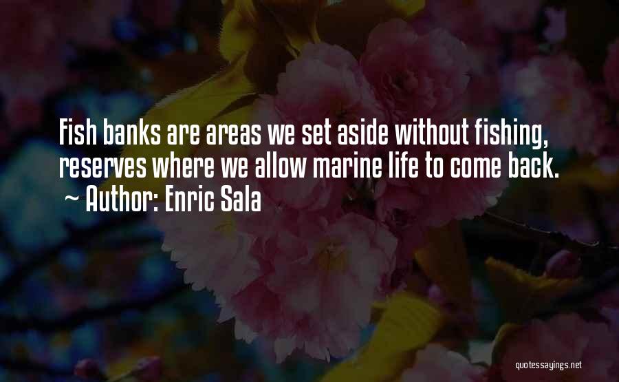 Enric Sala Quotes: Fish Banks Are Areas We Set Aside Without Fishing, Reserves Where We Allow Marine Life To Come Back.