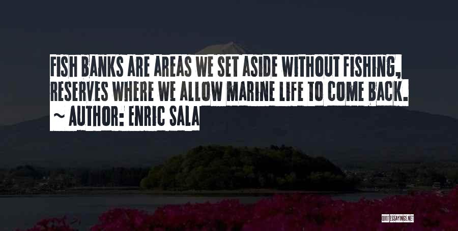 Enric Sala Quotes: Fish Banks Are Areas We Set Aside Without Fishing, Reserves Where We Allow Marine Life To Come Back.