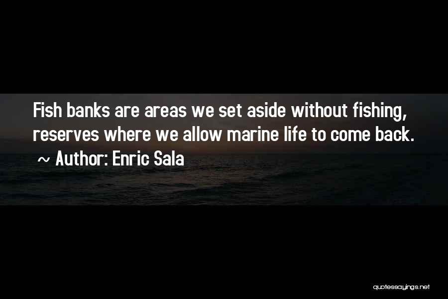 Enric Sala Quotes: Fish Banks Are Areas We Set Aside Without Fishing, Reserves Where We Allow Marine Life To Come Back.