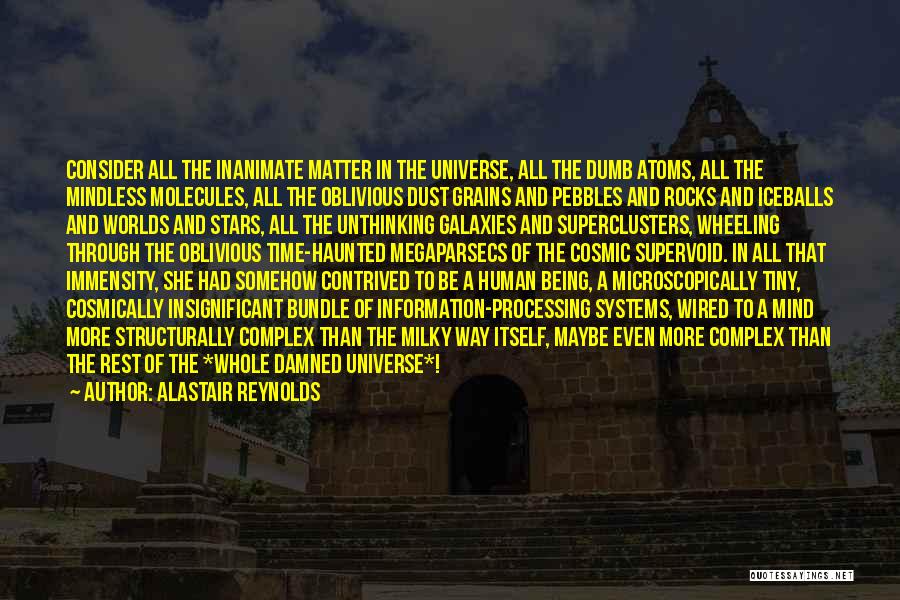 Alastair Reynolds Quotes: Consider All The Inanimate Matter In The Universe, All The Dumb Atoms, All The Mindless Molecules, All The Oblivious Dust