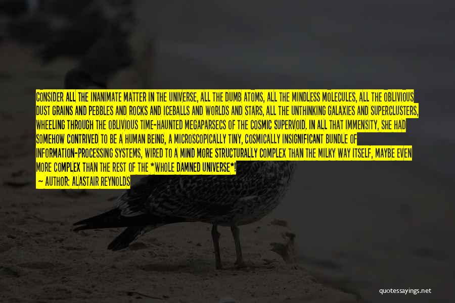 Alastair Reynolds Quotes: Consider All The Inanimate Matter In The Universe, All The Dumb Atoms, All The Mindless Molecules, All The Oblivious Dust