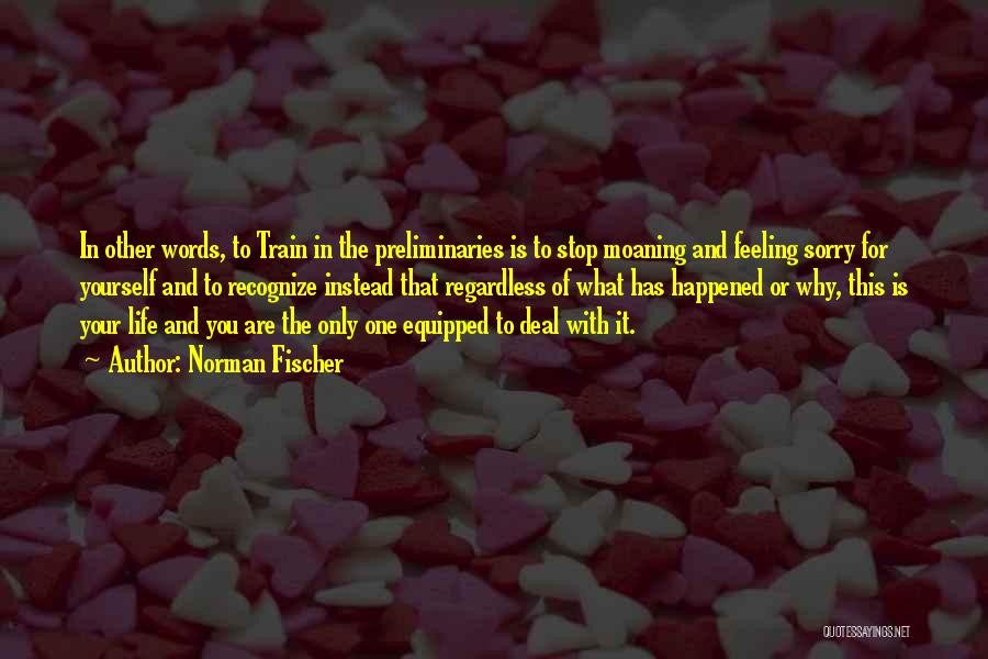 Norman Fischer Quotes: In Other Words, To Train In The Preliminaries Is To Stop Moaning And Feeling Sorry For Yourself And To Recognize