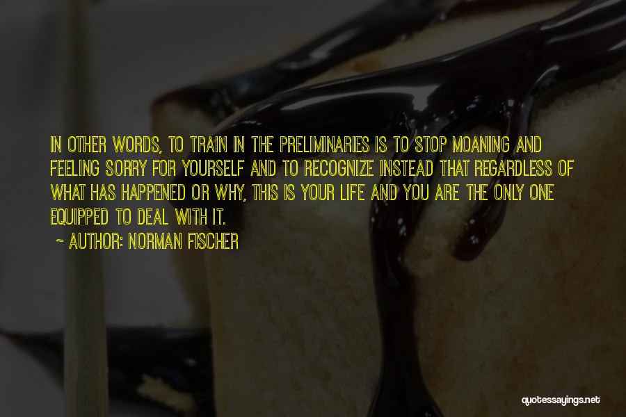 Norman Fischer Quotes: In Other Words, To Train In The Preliminaries Is To Stop Moaning And Feeling Sorry For Yourself And To Recognize
