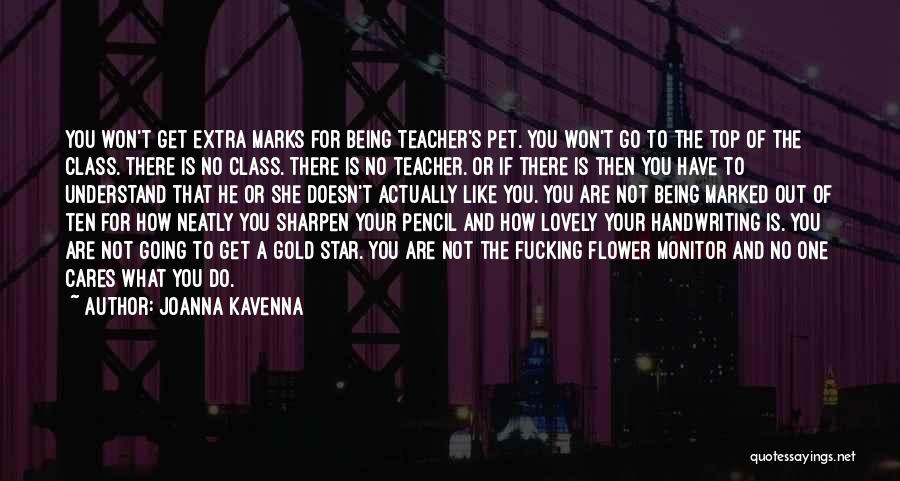 Joanna Kavenna Quotes: You Won't Get Extra Marks For Being Teacher's Pet. You Won't Go To The Top Of The Class. There Is