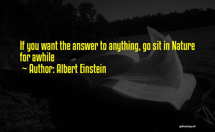 Albert Einstein Quotes: If You Want The Answer To Anything, Go Sit In Nature For Awhile