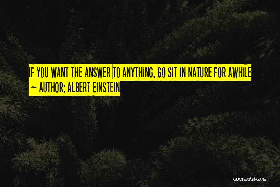 Albert Einstein Quotes: If You Want The Answer To Anything, Go Sit In Nature For Awhile