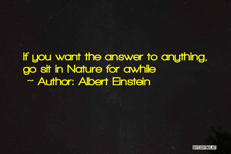 Albert Einstein Quotes: If You Want The Answer To Anything, Go Sit In Nature For Awhile