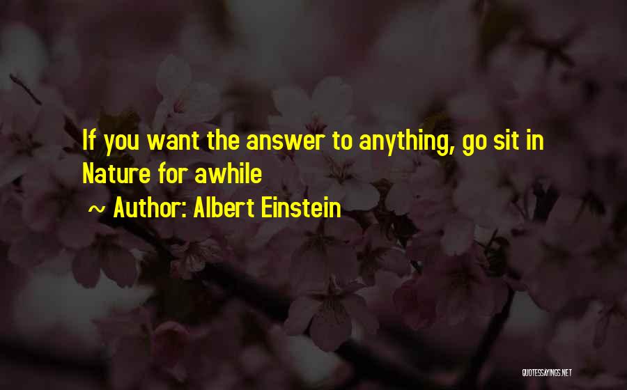 Albert Einstein Quotes: If You Want The Answer To Anything, Go Sit In Nature For Awhile