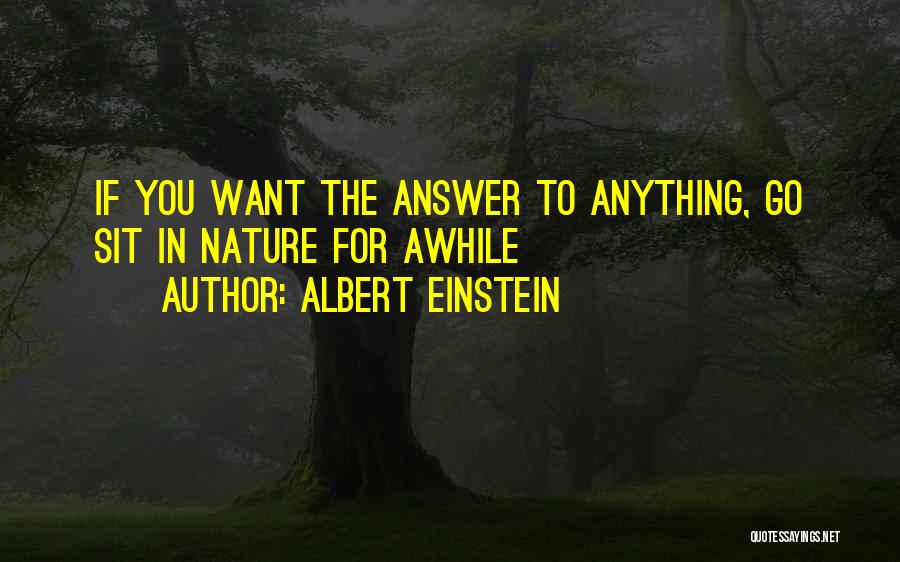 Albert Einstein Quotes: If You Want The Answer To Anything, Go Sit In Nature For Awhile