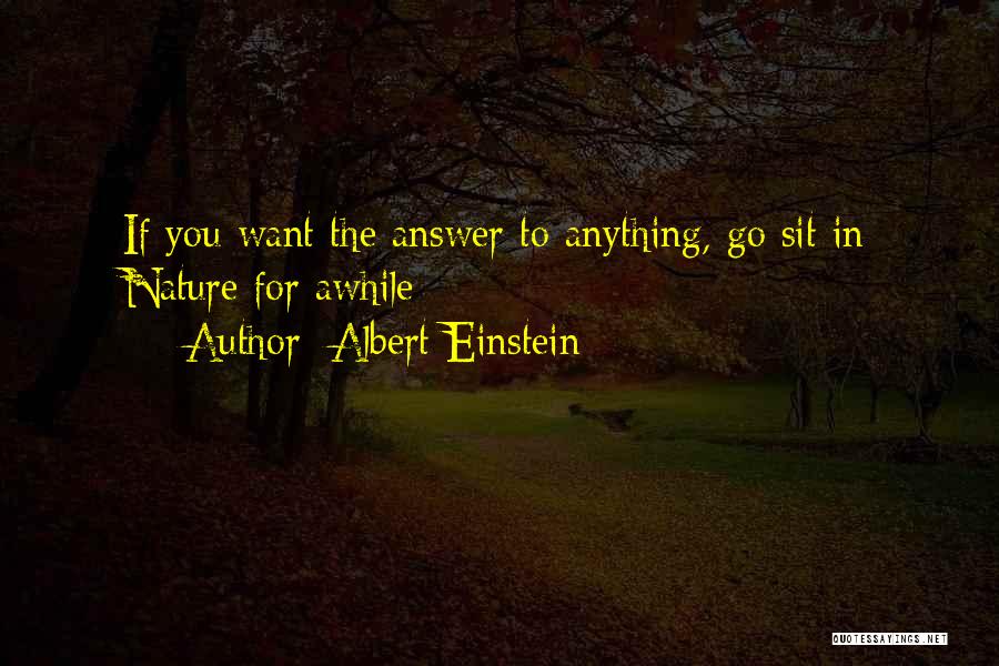 Albert Einstein Quotes: If You Want The Answer To Anything, Go Sit In Nature For Awhile